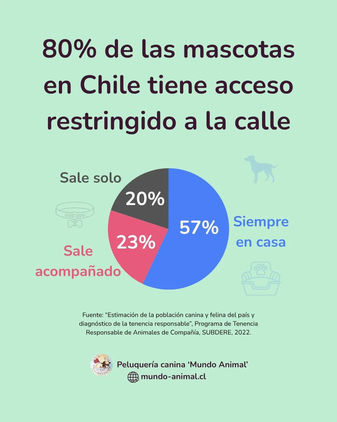 gráfico de porcentaje de mascotas en casa o en la calle