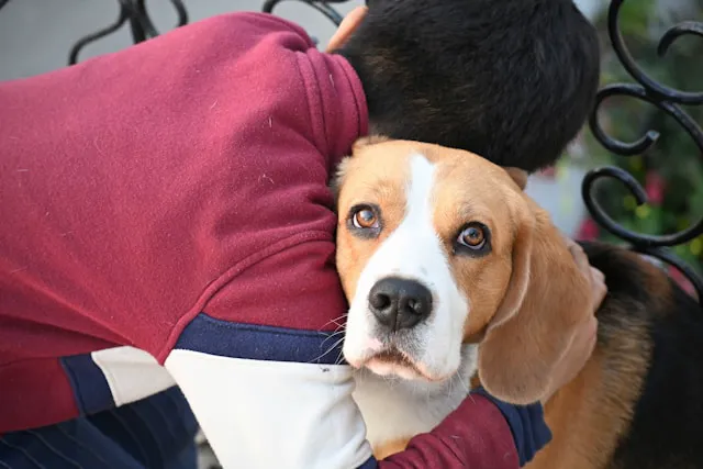 niño abrazando a perro